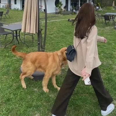 链接与链条
