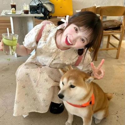 义犬记